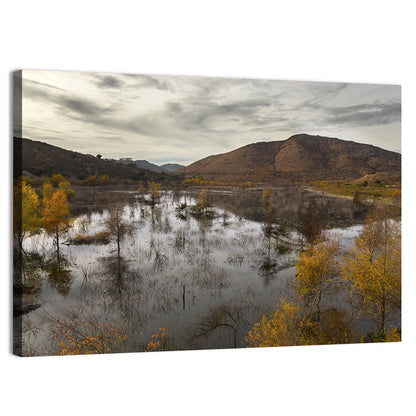 Lake Hodges Autumn Reflection Wall Art
