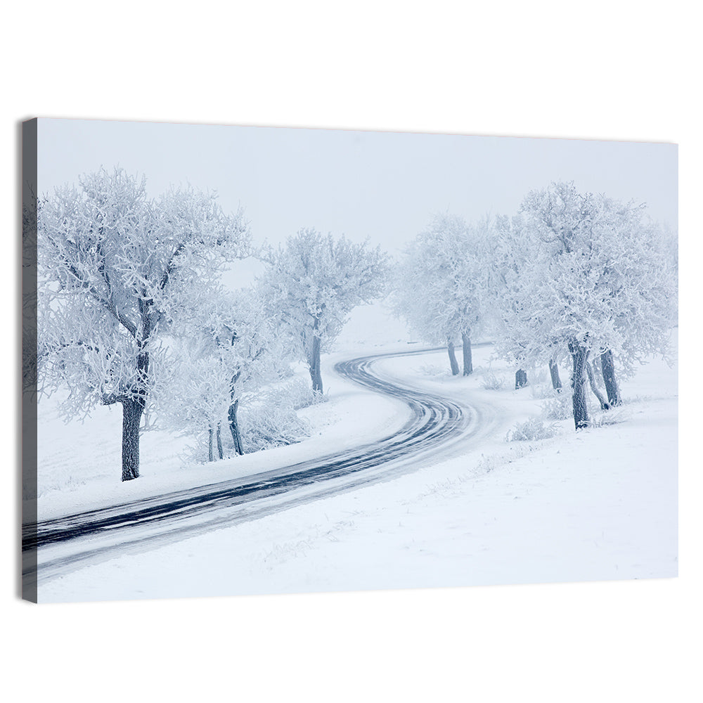 Misty Winter S-curve Road Wall Art, canvas print, landscape