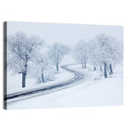 Misty Winter S-curve Road Wall Art