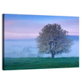 Misty Sumava Mountain Tree Wall Art