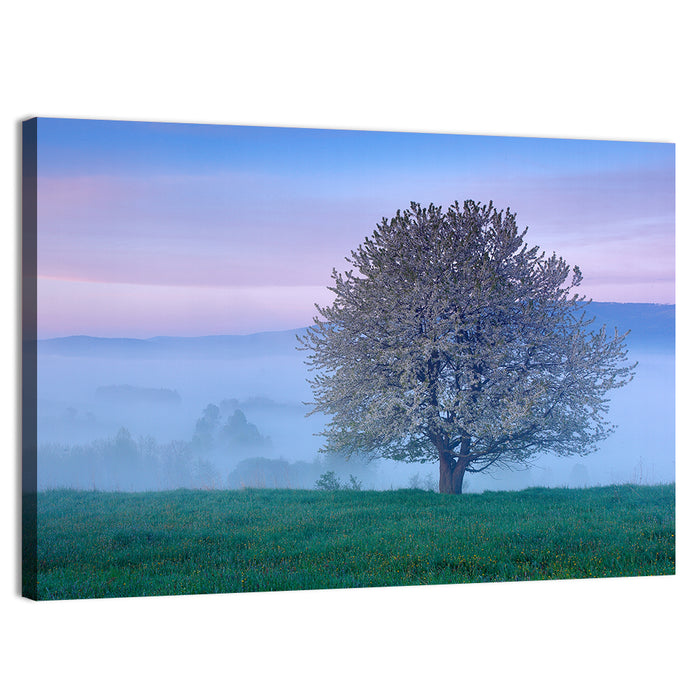 Misty Sumava Mountain Tree Wall Art as a canvas print