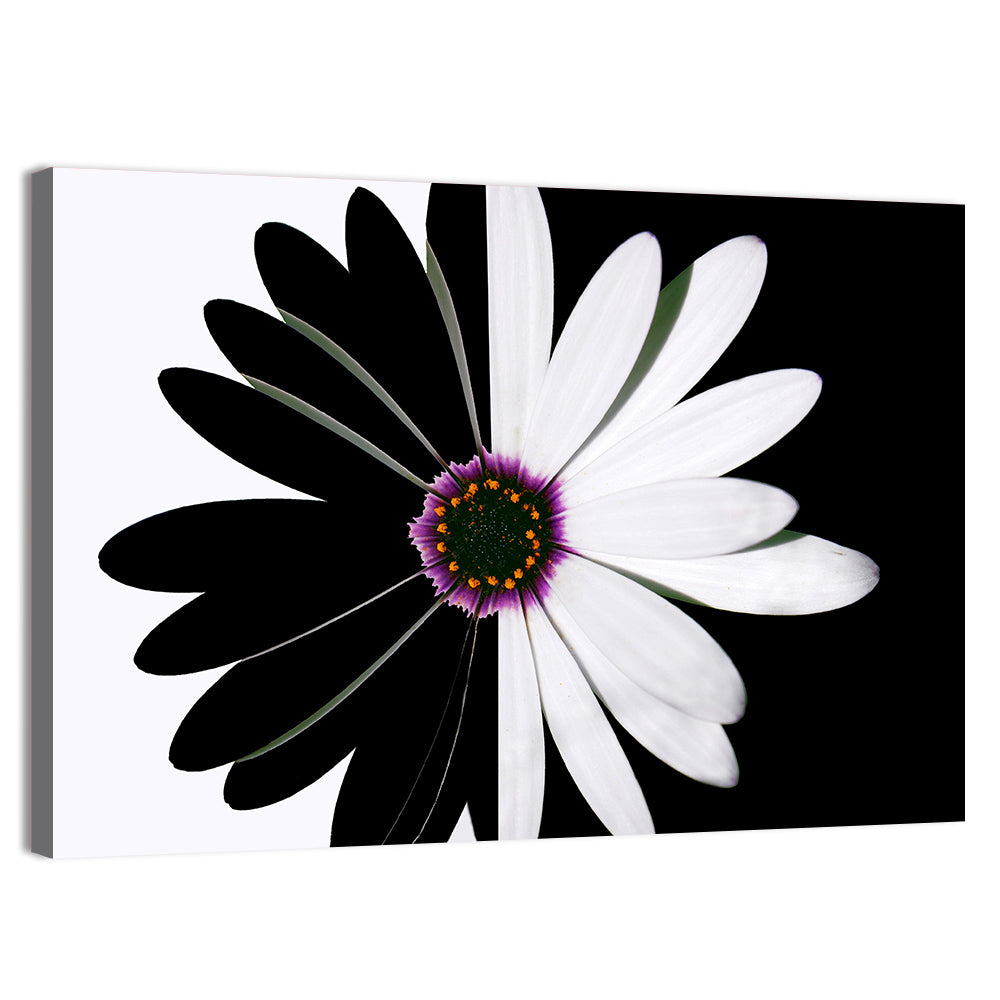 Black and White Daisy with Purple Ring Wall Art