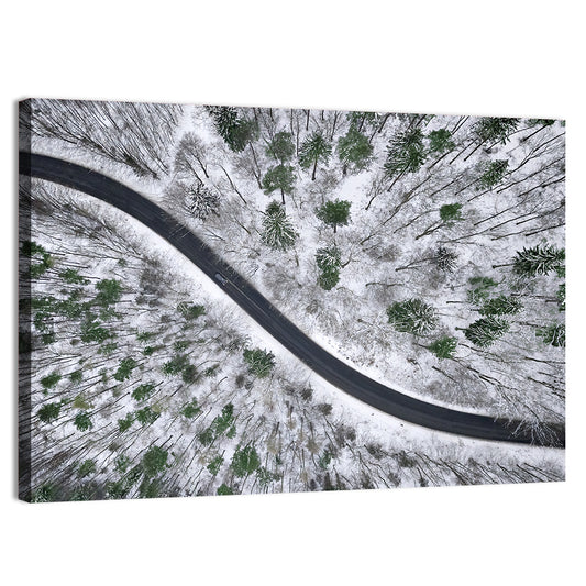 Snowy Forest Road Wall Art