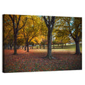 Autumn Park Trees, Pennsylvania Wall Art