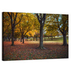 Autumn Park Trees, Pennsylvania Wall Art