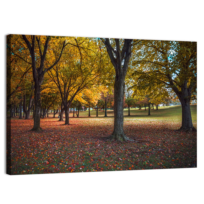 Autumn Park Trees, Pennsylvania Wall Art as a canvas print