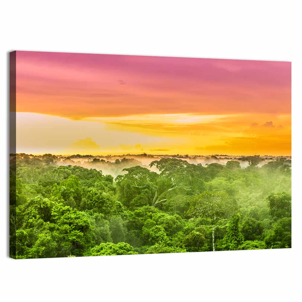 Amazon Rainforest Sunset Canopy Wall Art