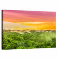 Amazon Rainforest Sunset Canopy Wall Art