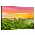 Amazon Rainforest Sunset Canopy Wall Art