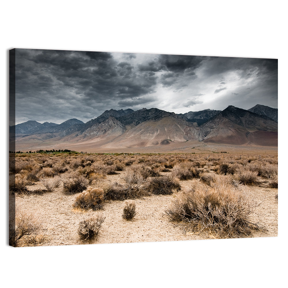 Storm Over Death Valley Wall Art, canvas print, landscape