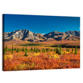 Denali Autumn Peaks Wall Art