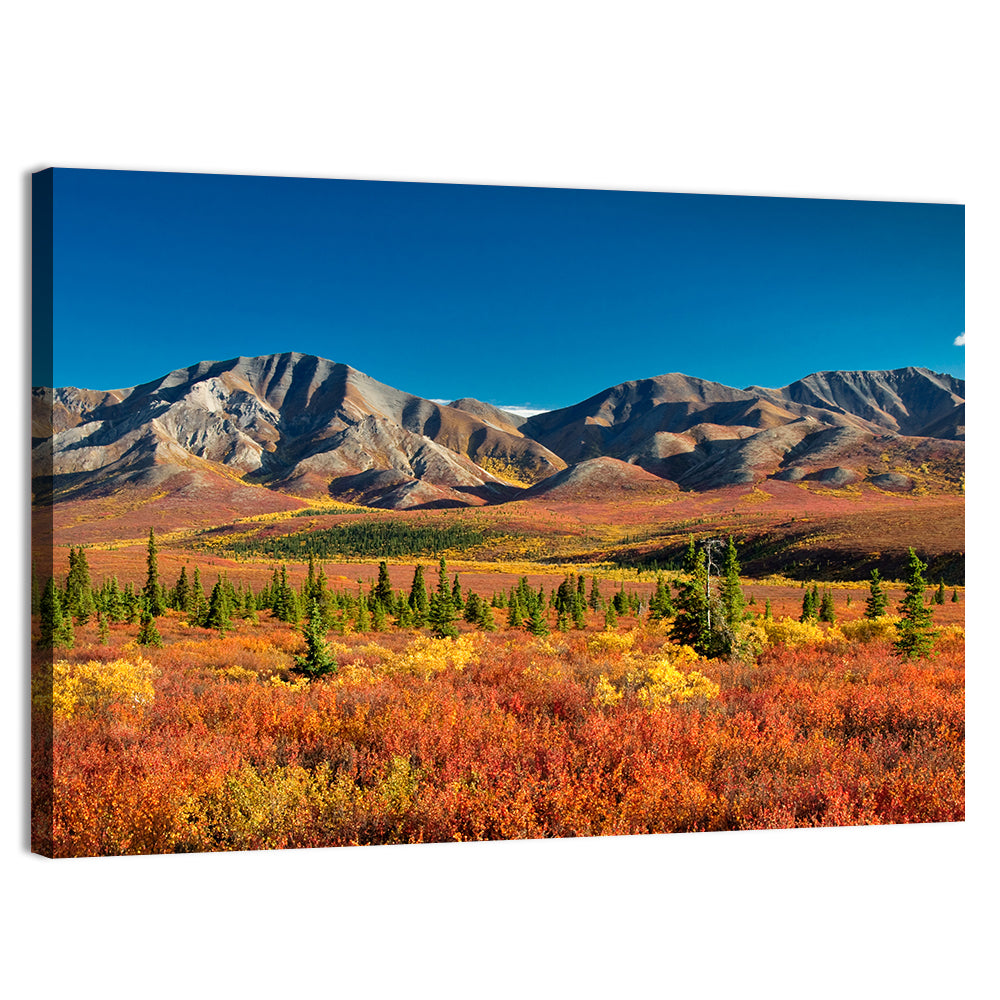 Denali Autumn Peaks Wall Art, canvas print, landscape