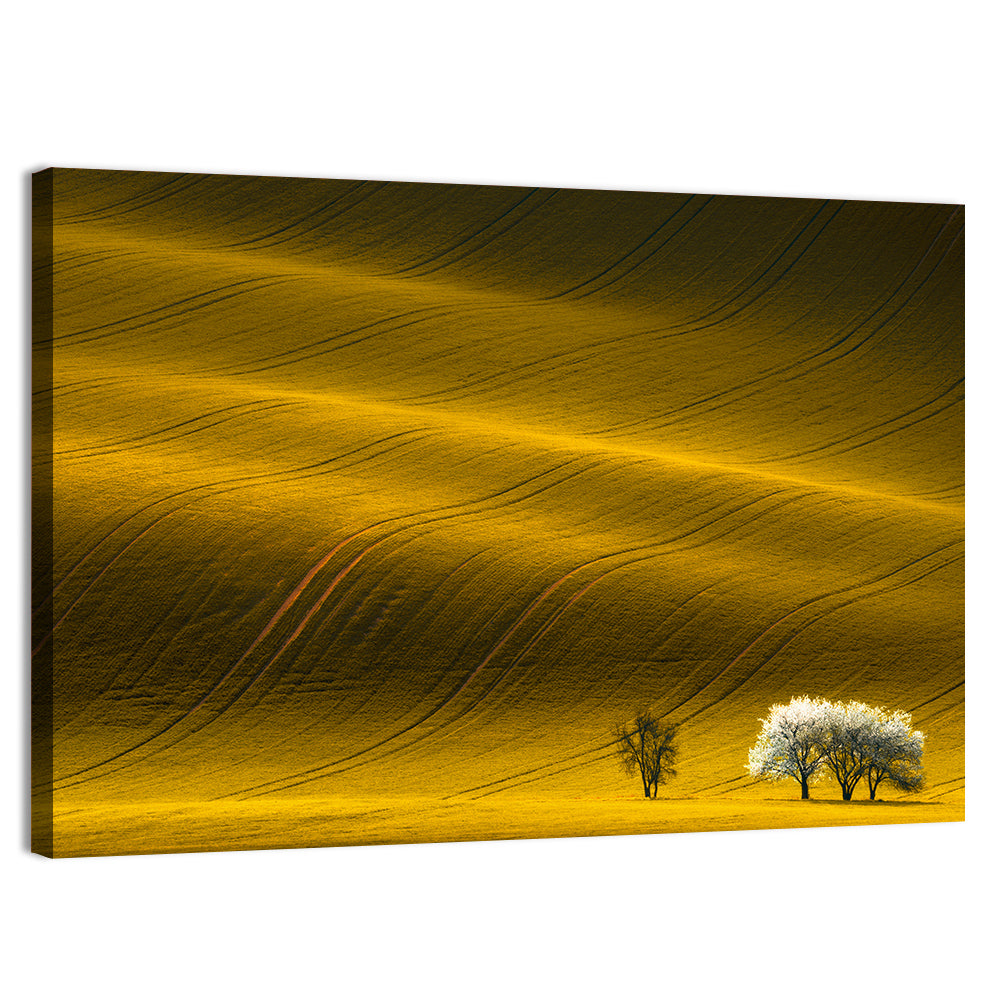 Golden Hour Rapeseed Field Wall Art, canvas print, landscape