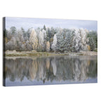Pskov Region Forest Lake Wall Art