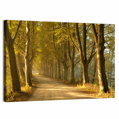Autumn Road Through Golden Forest Wall Art