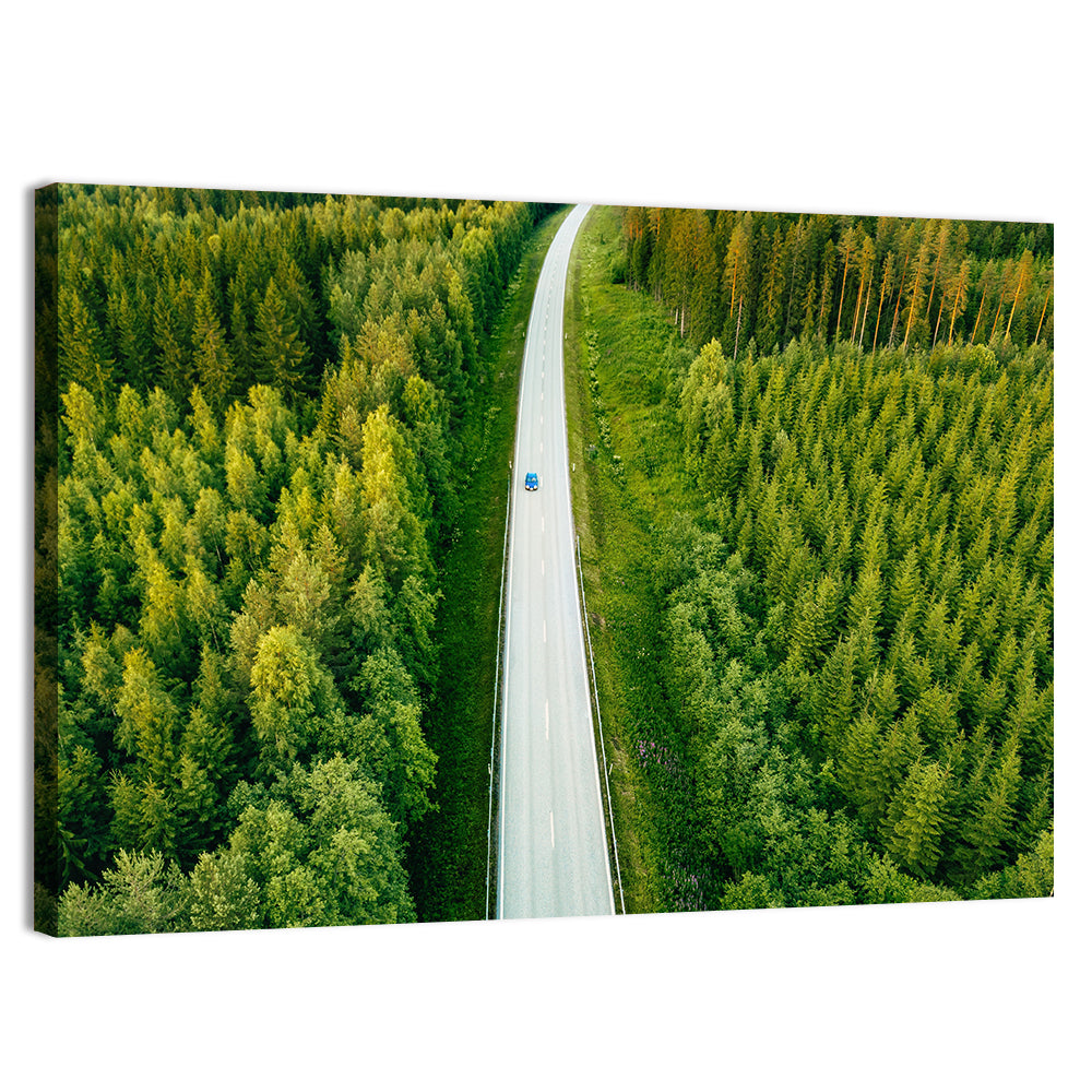 Blue Car on Forest Road Wall Art