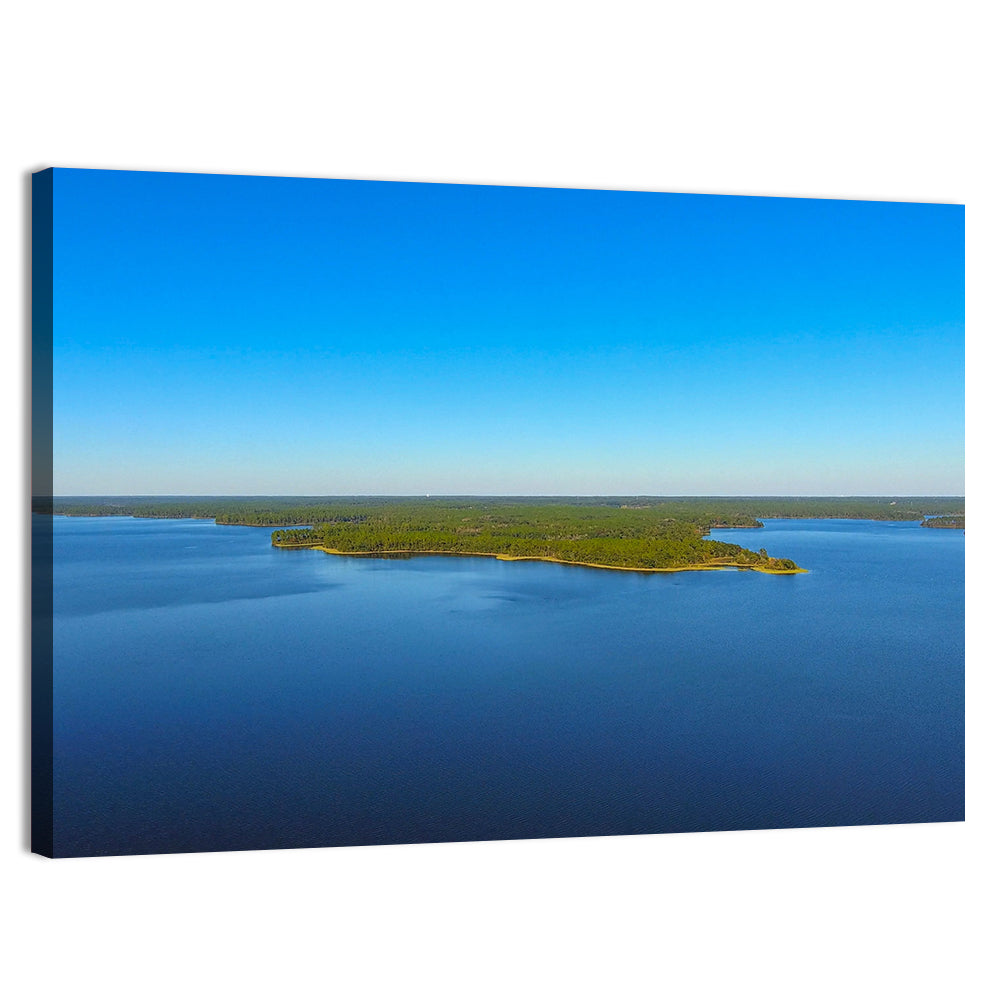 Big Creek Lake Peninsula Wall Art