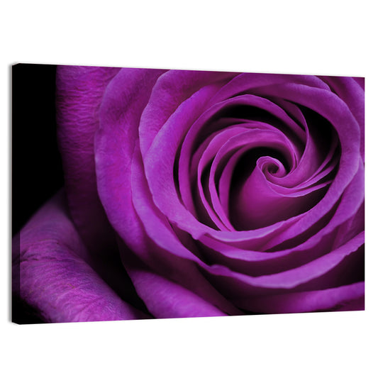 Purple Rose Wall Art