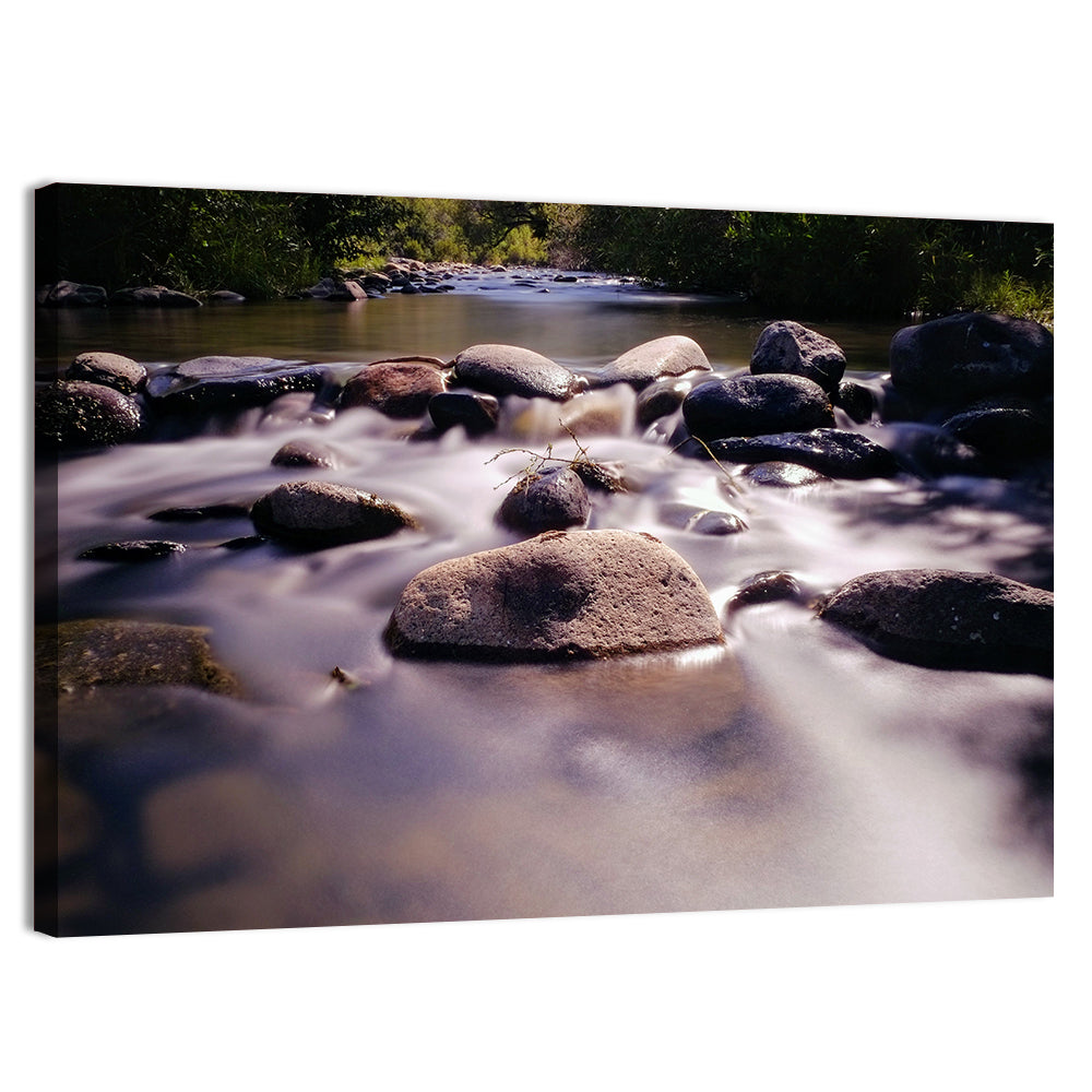 Truckee River Sunlit Rocks Wall Art