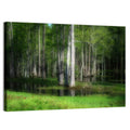 Lush Cypress Swamp Wall Art