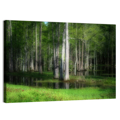 Lush Cypress Swamp Wall Art