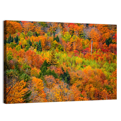 Vermont Autumn Mountain Forest Wall Art
