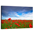 Red Poppy Field Wall Art