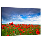 Red Poppy Field Wall Art