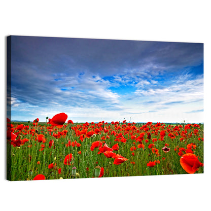 Red Poppy Field Wall Art