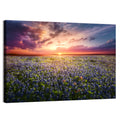Texas Bluebonnet Sunset Wall Art