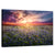 Bluebonnet Sunset Texas Wall Art