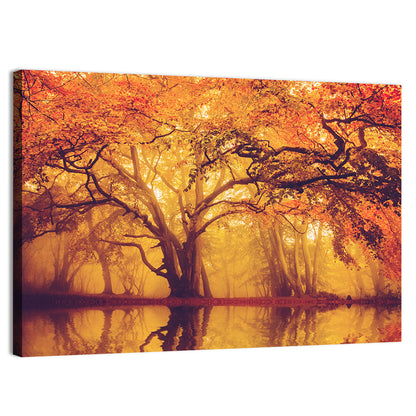 Golden Mist Forest Reflection Wall Art