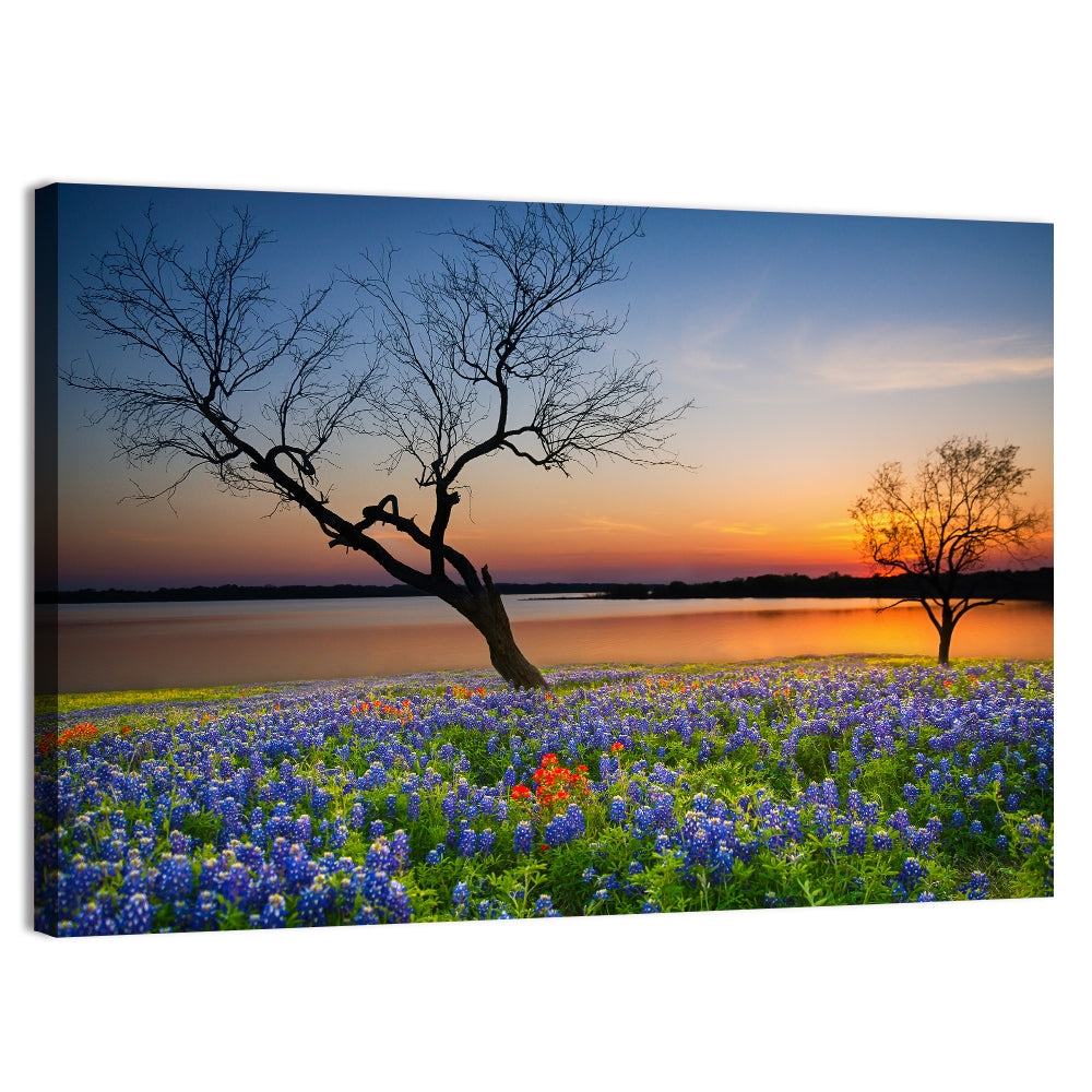 Texas Bluebonnet Sunset Wall Art
