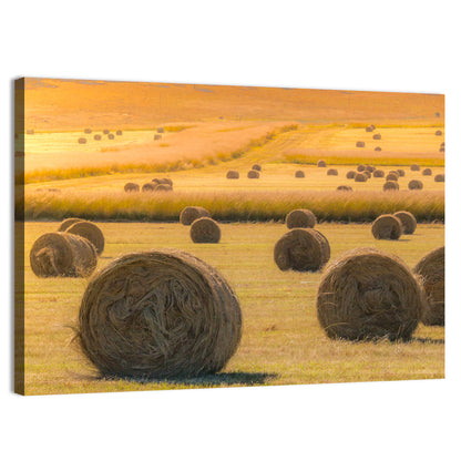 Hay Bales at Golden Hour Wall Art