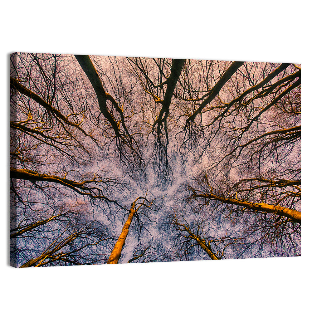 Misty Forest Canopy Wall Art