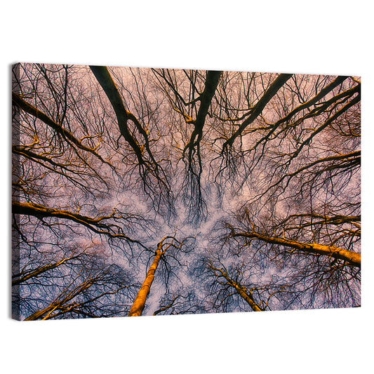 Misty Forest Abstract Wall Art