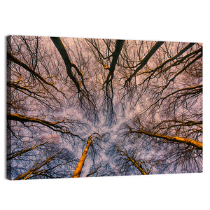 Misty Forest Abstract Wall Art