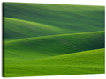 Rolling Emerald Wheat Fields Wall Art