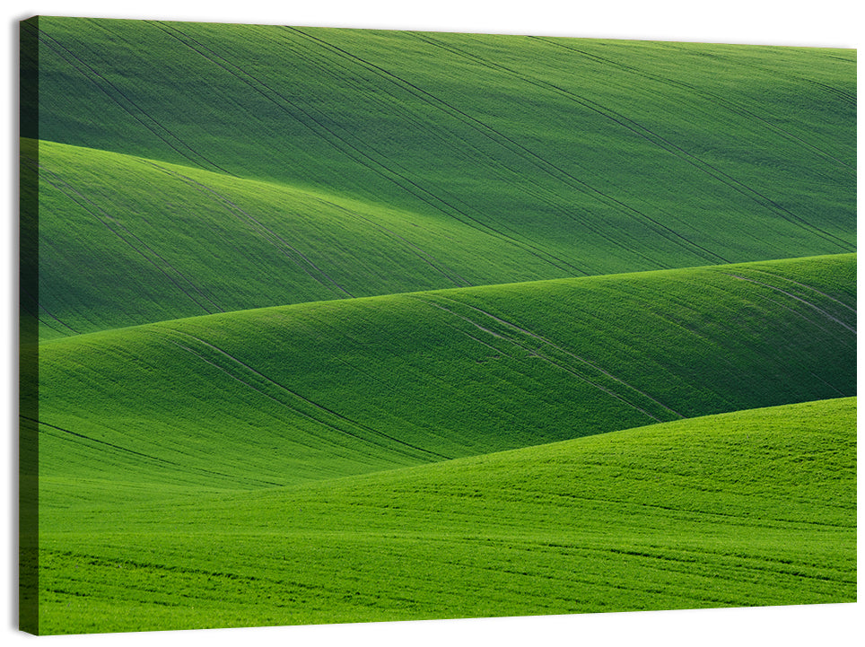 Rolling Emerald Wheat Fields Wall Art