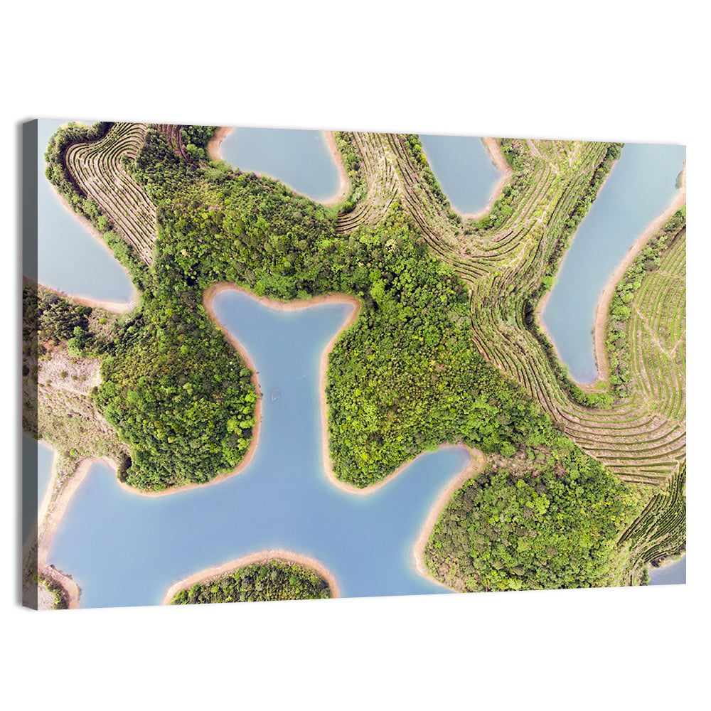 Thousand Island Lake Aerial View Wall Art