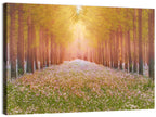 Golden Morning Forest Path Wall Art