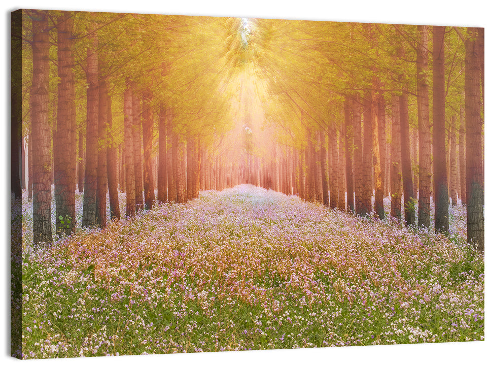Golden Morning Forest Path Wall Art