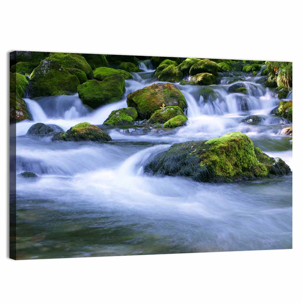 Mossy Forest Stream Wall Art, canvas print, landscape