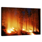 Night Forest Fire Wall Art