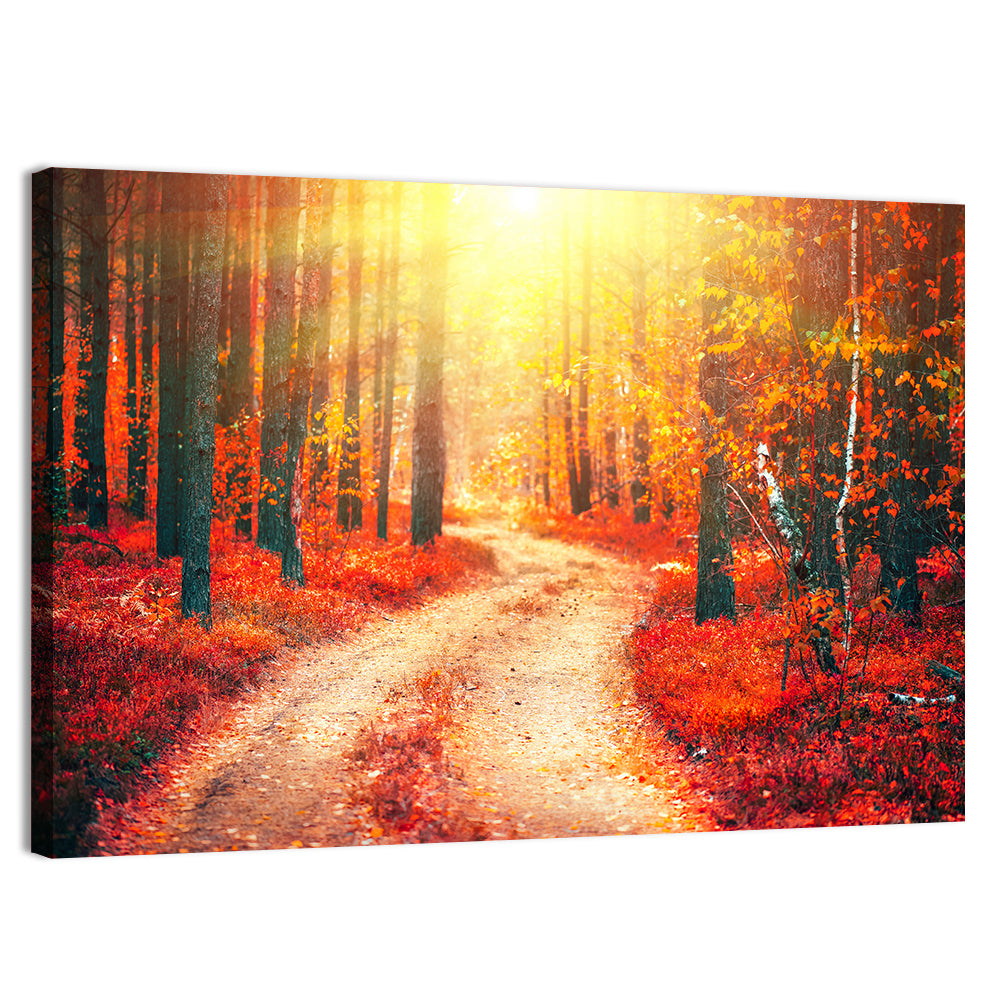 Autumn Forest Pathway Wall Art