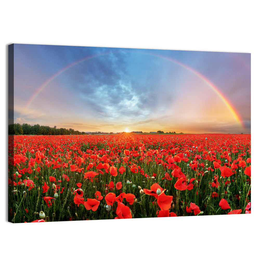 Poppy Field with Double Rainbow Wall Art