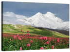 Caucasus Spring Wildflower Meadow Wall Art
