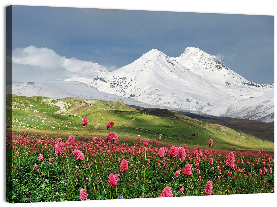 Caucasus Spring Wildflower Meadow Wall Art
