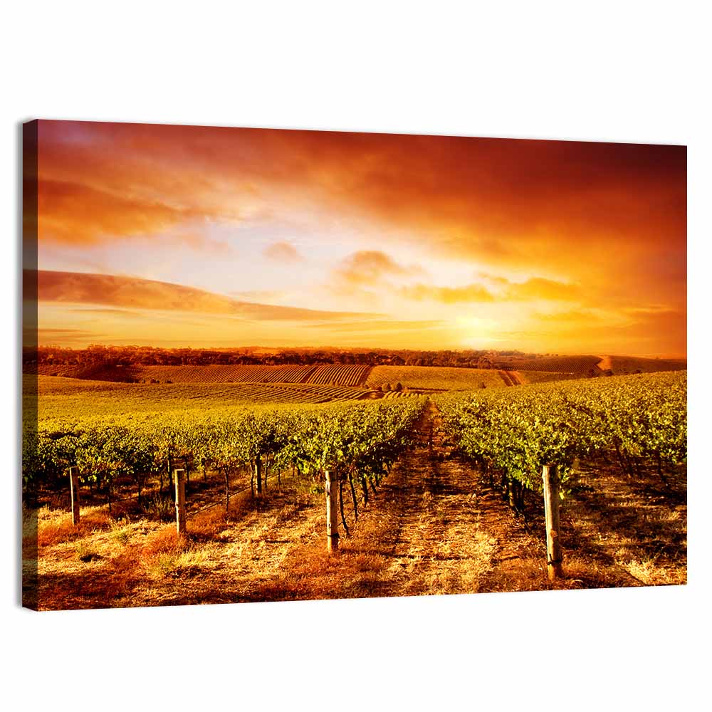 Australian Vineyard Sunset Wall Art