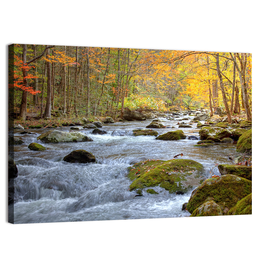 Autumn Mountain Stream Wall Art, canvas print, landscape